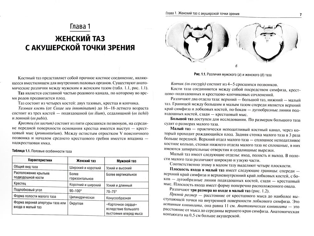Акушерские пособия при различных предлежаниях плода: Учебное пособие