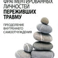 Исцеление фрагментированных личностей переживших травму. Преодоление внутреннего самоотчуждения