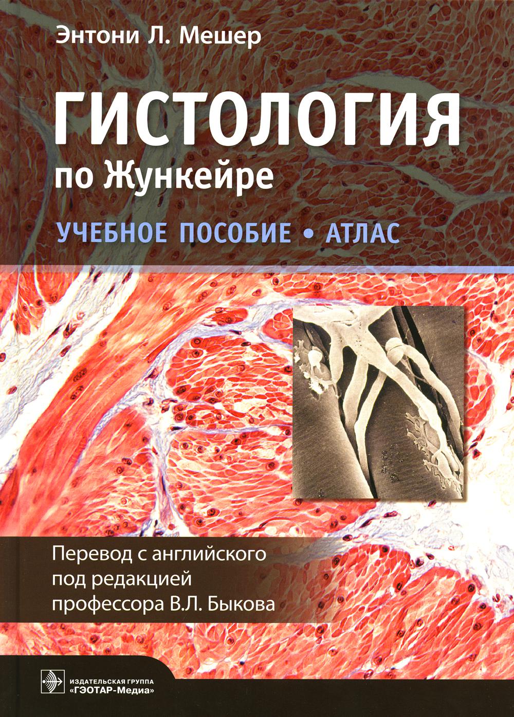 Гистология по Жункейре. Атлас: Учебное пособие