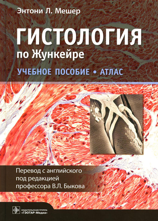 Гистология по Жункейре. Атлас: Учебное пособие