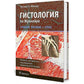 Гистология по Жункейре. Атлас: Учебное пособие