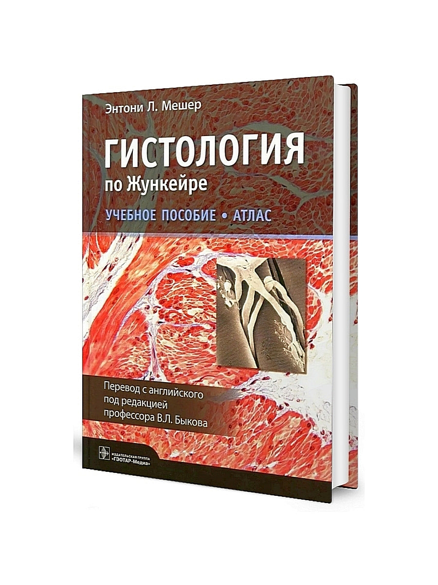 Гистология по Жункейре. Атлас: Учебное пособие