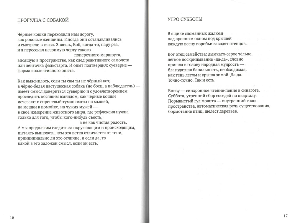 Чистая радость