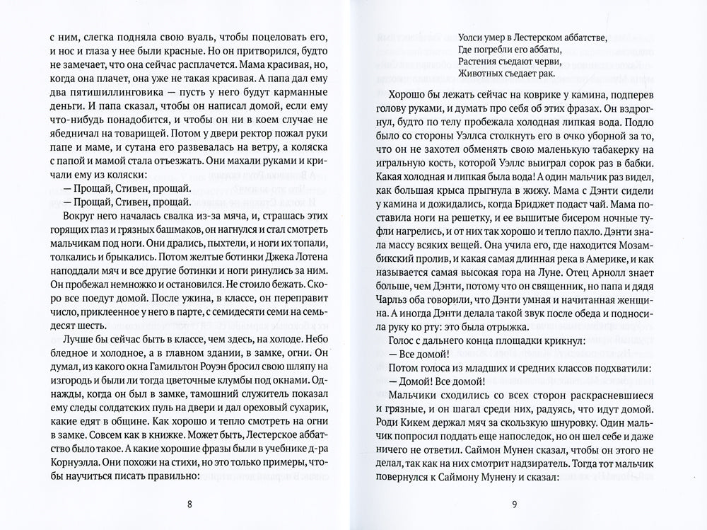 Портрет художника в юности: роман