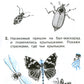 Окружающий мир. 1 cl. 2 heures. Ч. 2. Тетрадь для тренировки и самопроверки. 9-е изд., перераб. je suis d'accord