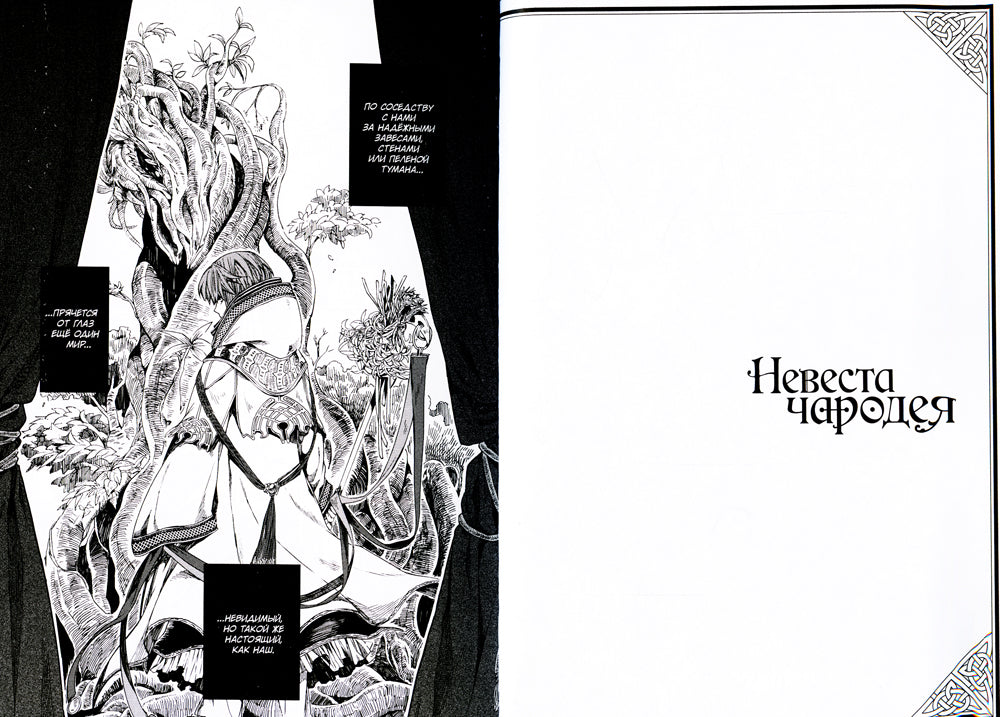 Невеста чародея. Т. 1: манга. 5-е изд