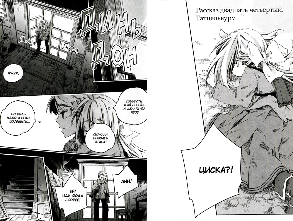 Записки о прибытии волшебных зверей. Т.5