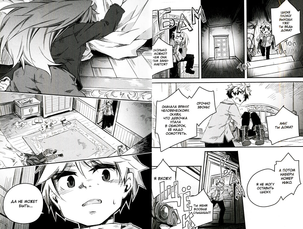 Записки о прибытии волшебных зверей. Т.5