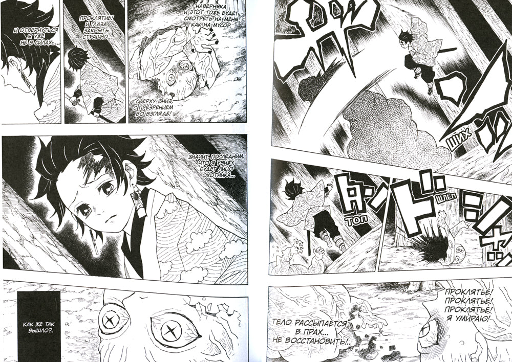 Истребитель демонов. Т. 2: Это ты: манга. 2-e jour