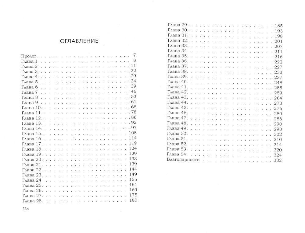 Убийство на летнем фестивале