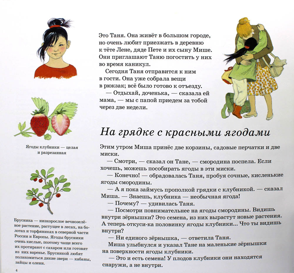 Qu'est-ce que les fruits de mer, les aliments et les fruits ?