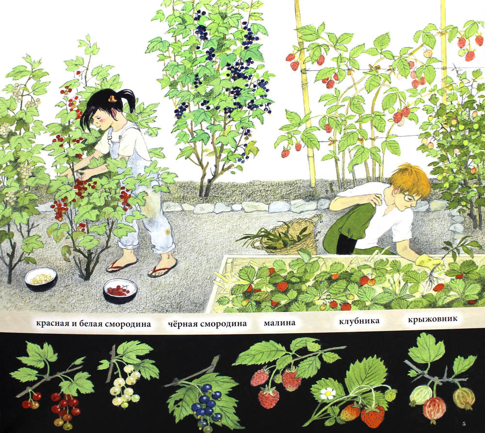 Qu'est-ce que les fruits de mer, les aliments et les fruits ?