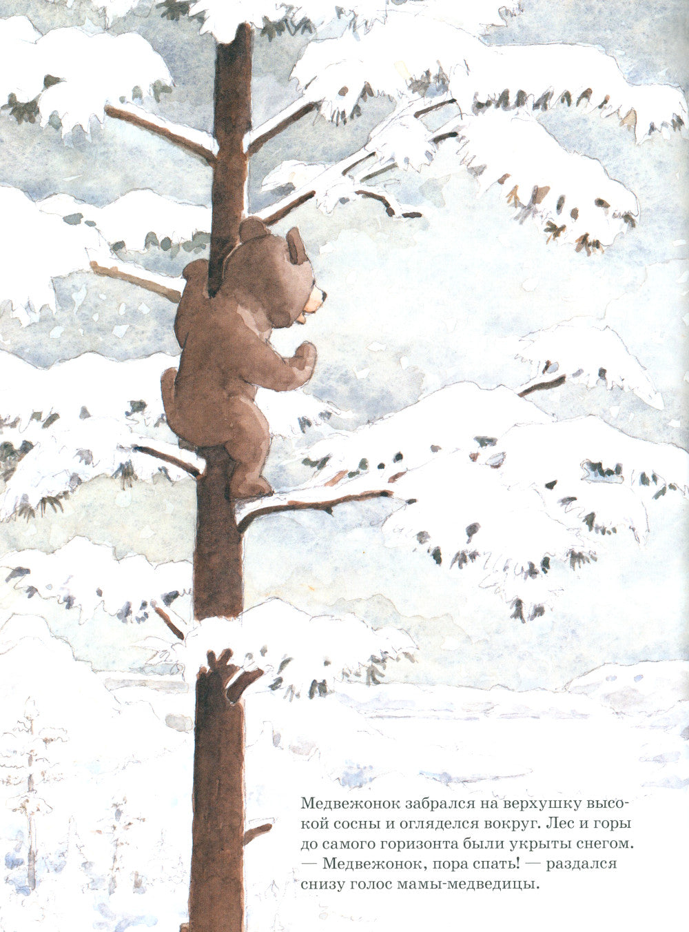 Ложись спать, медвежонок!