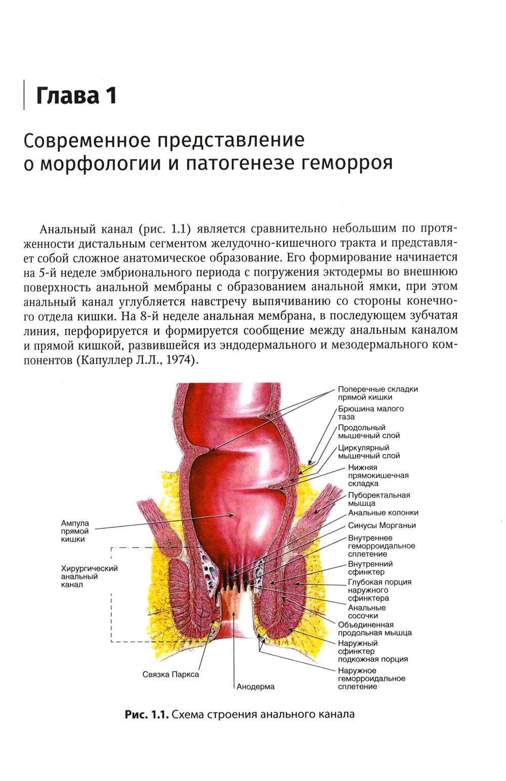 Mémoire. Diagnostic et assistance
