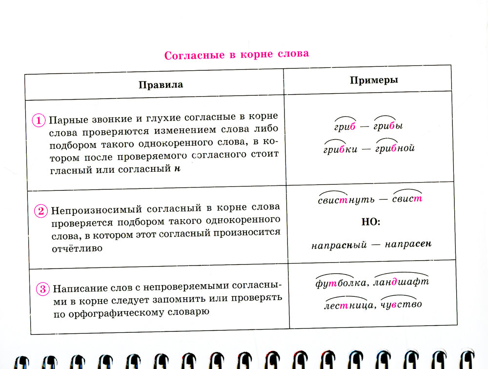 На ладони. Все правила русского языка