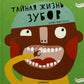 Тайная жизнь зубов