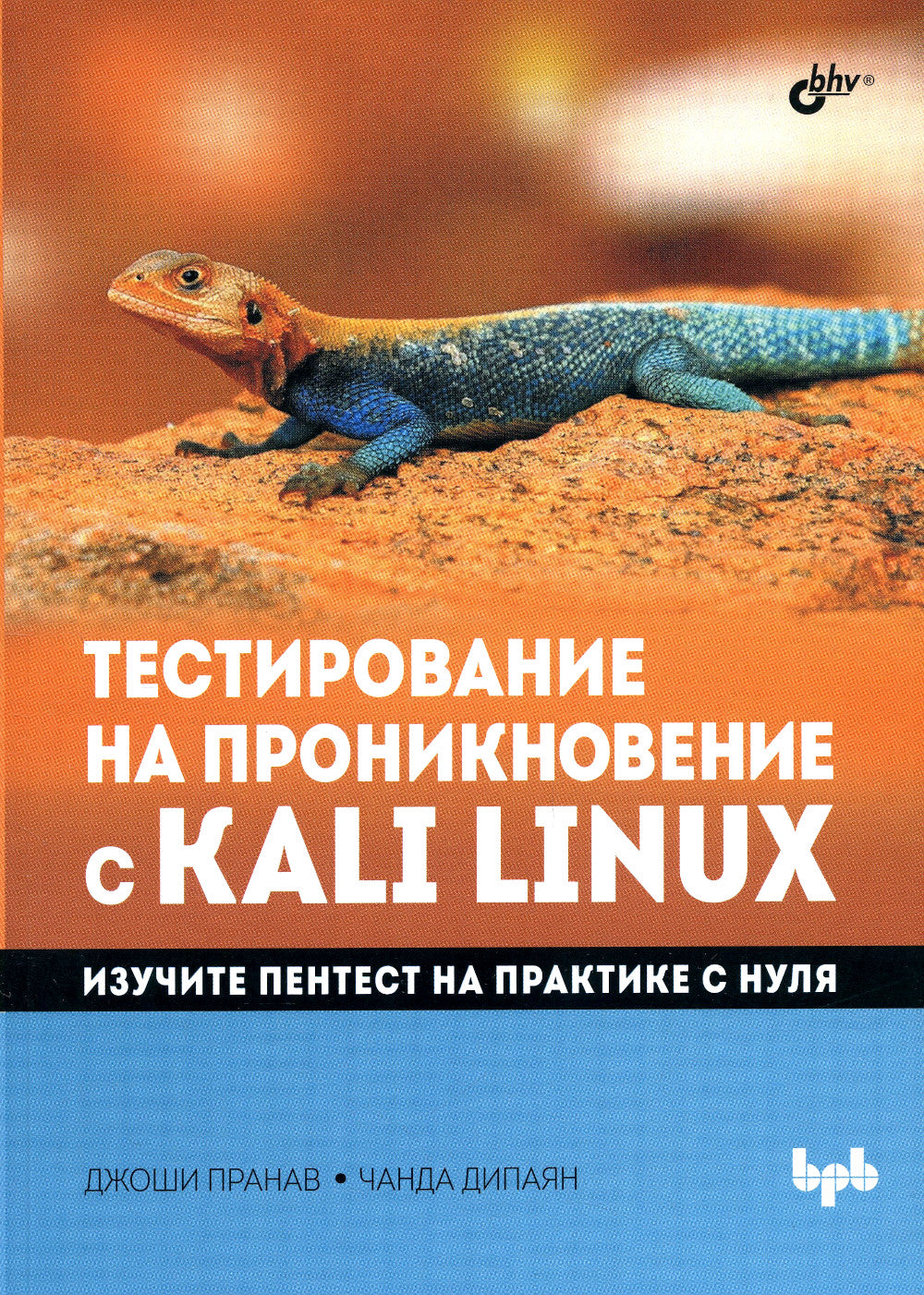 Тестирование на проникновение в Kali Linux