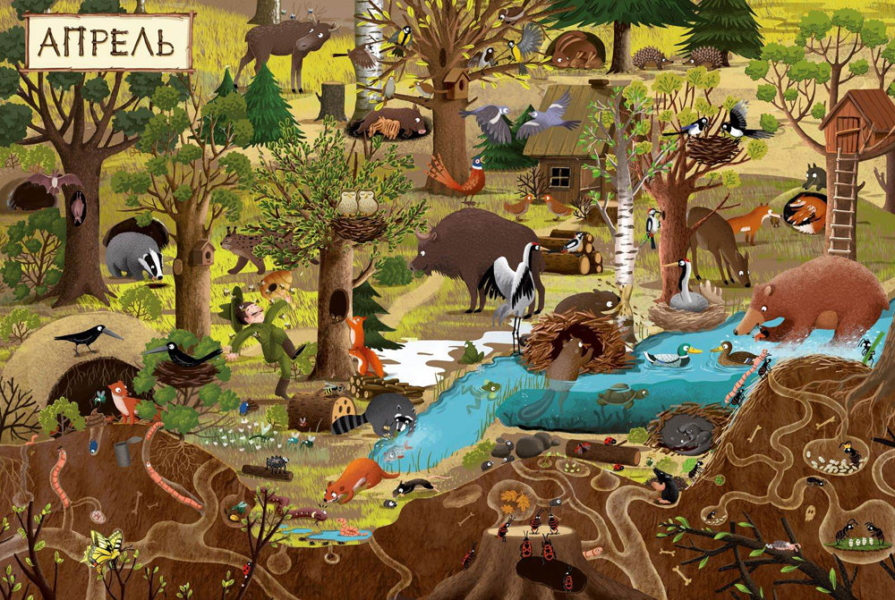 Год в лесу. Найди и покажи