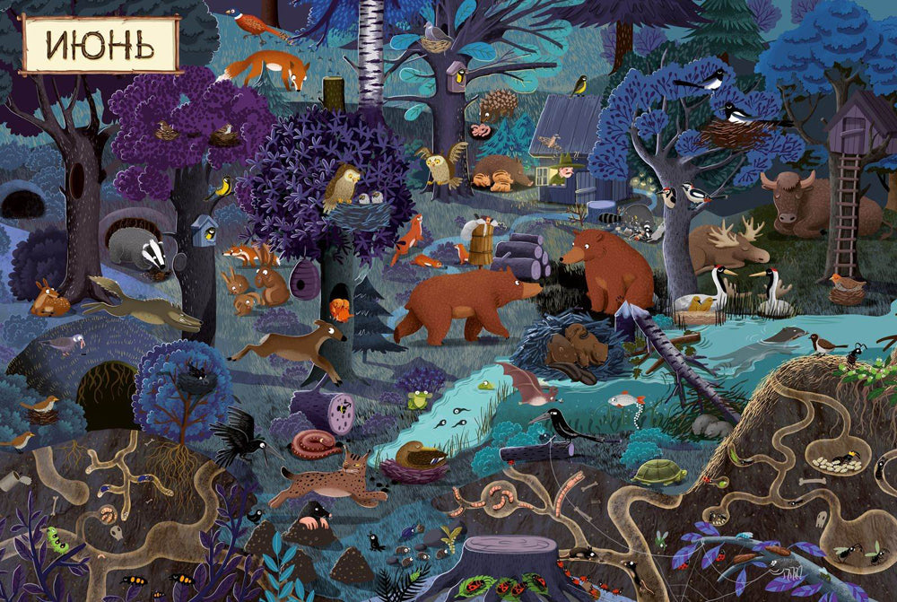 Год в лесу. Найди и покажи