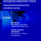 Ранние формы новообразований желудочно-кишечного тракта. Эндоскопическая диагностика и лечебная тактика: атлас