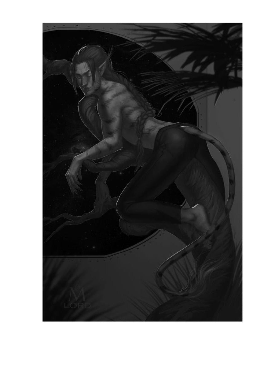 Les comètes les plus importantes