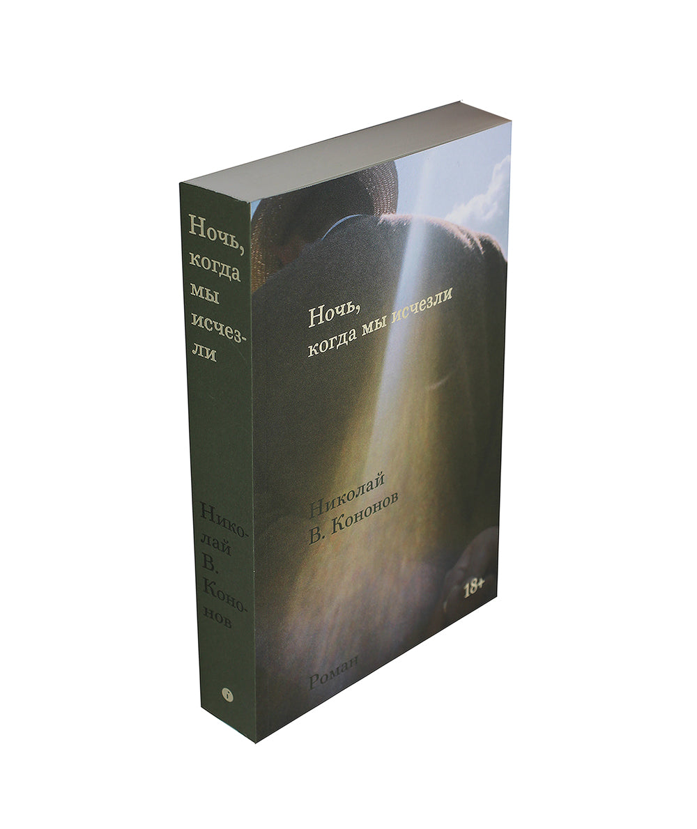 Ночь, когда мы исчезли: роман