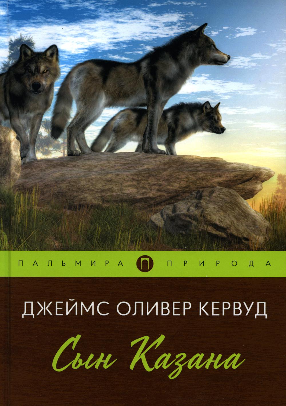 Сын Казана: повесть