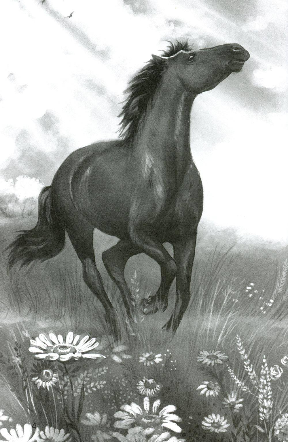 Галопом соглашение