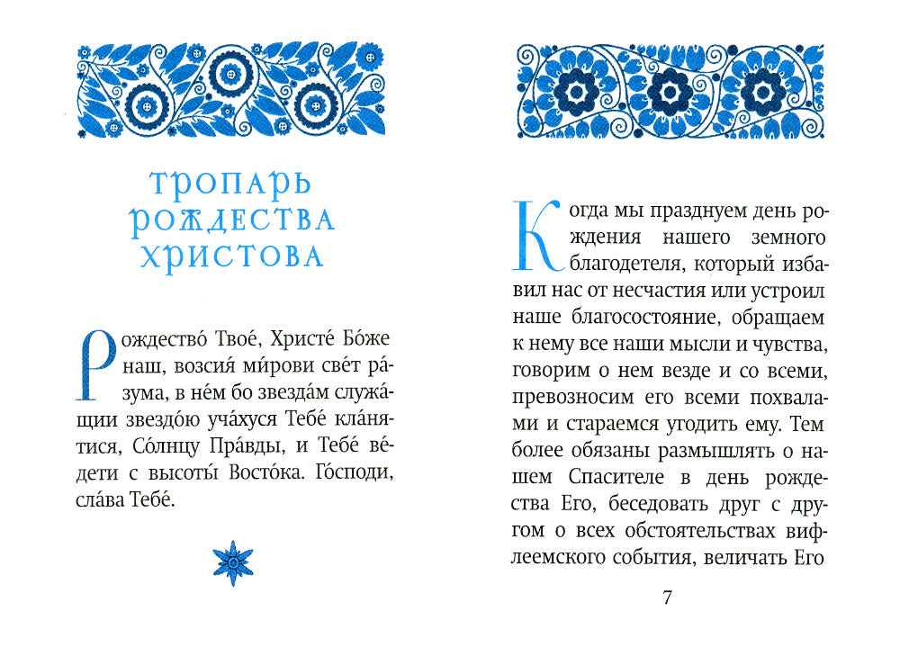 Рождественский цветник. (карм. фарм.)