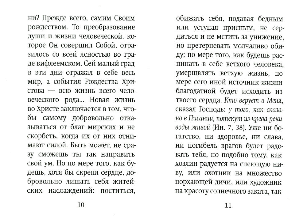 Рождественский цветник. (карм. фарм.)