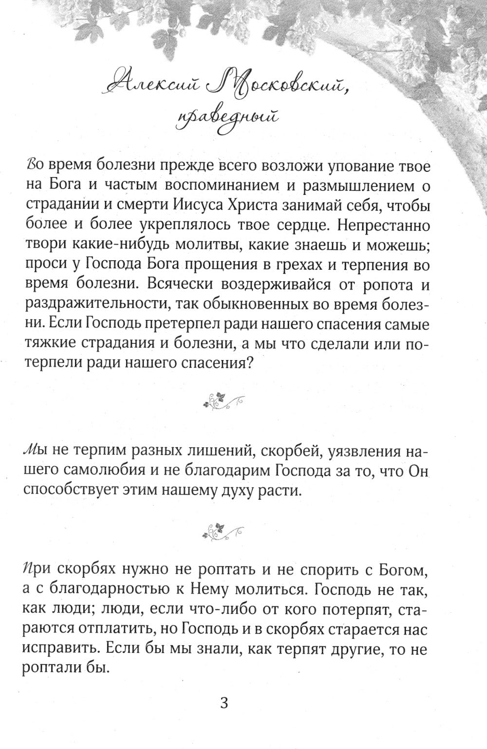 Терпением встретимся в Рай! Об очищении болезней души и скорбями