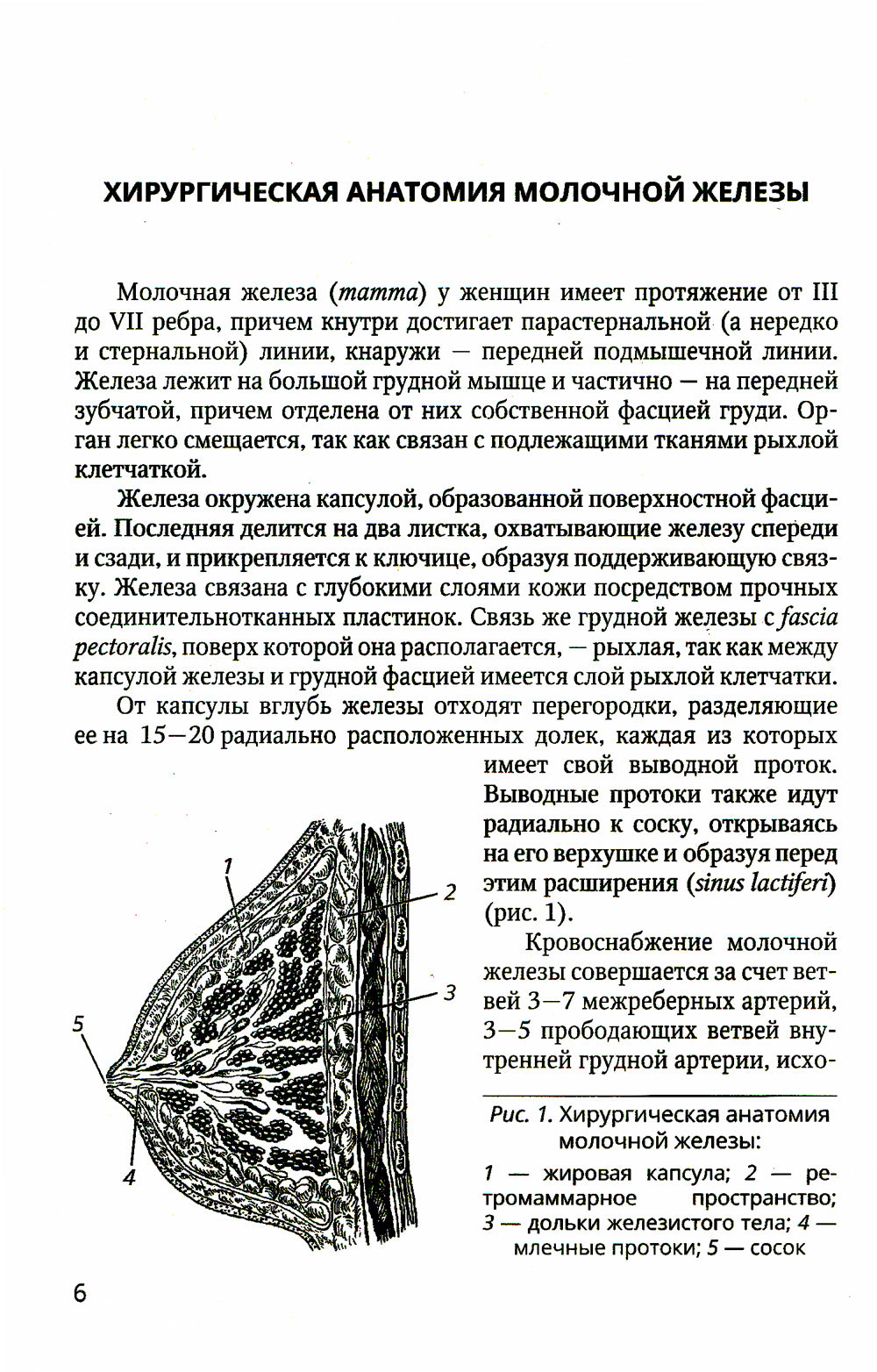 Хирургия молочной железы: руководство для врачей
