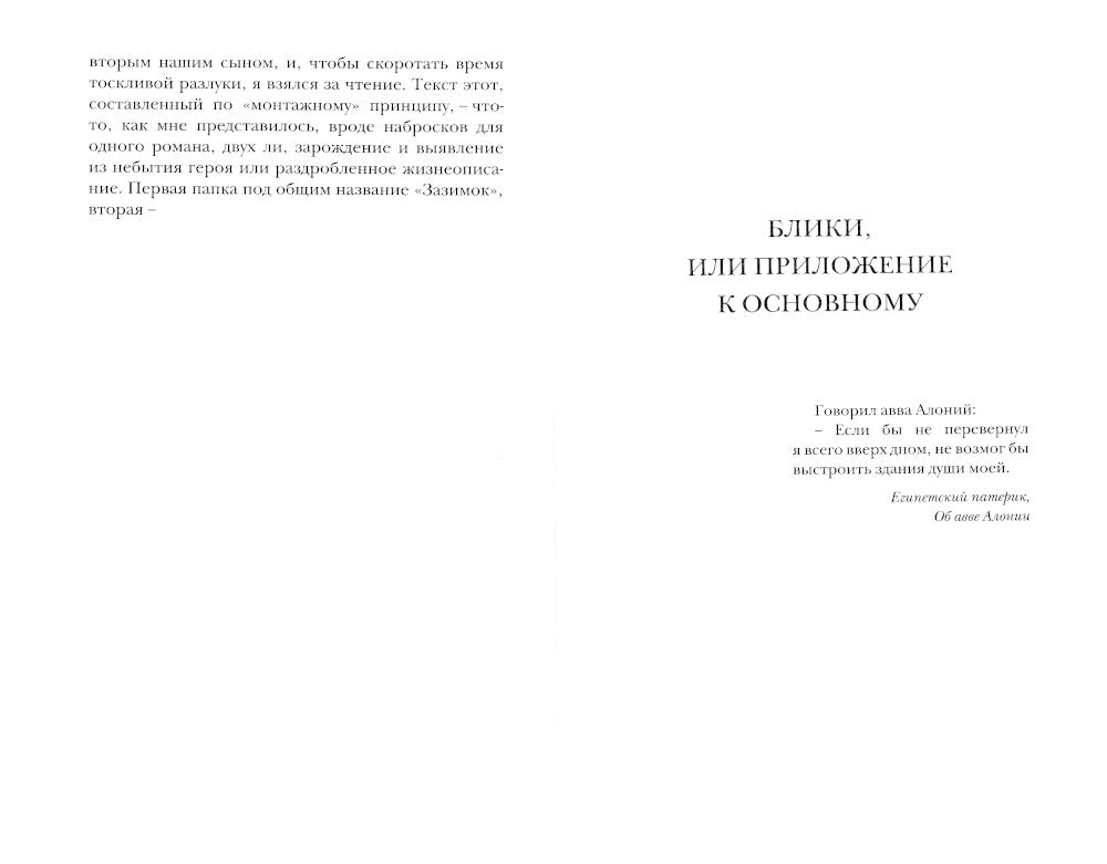 Блики, или Приложение к основному: роман