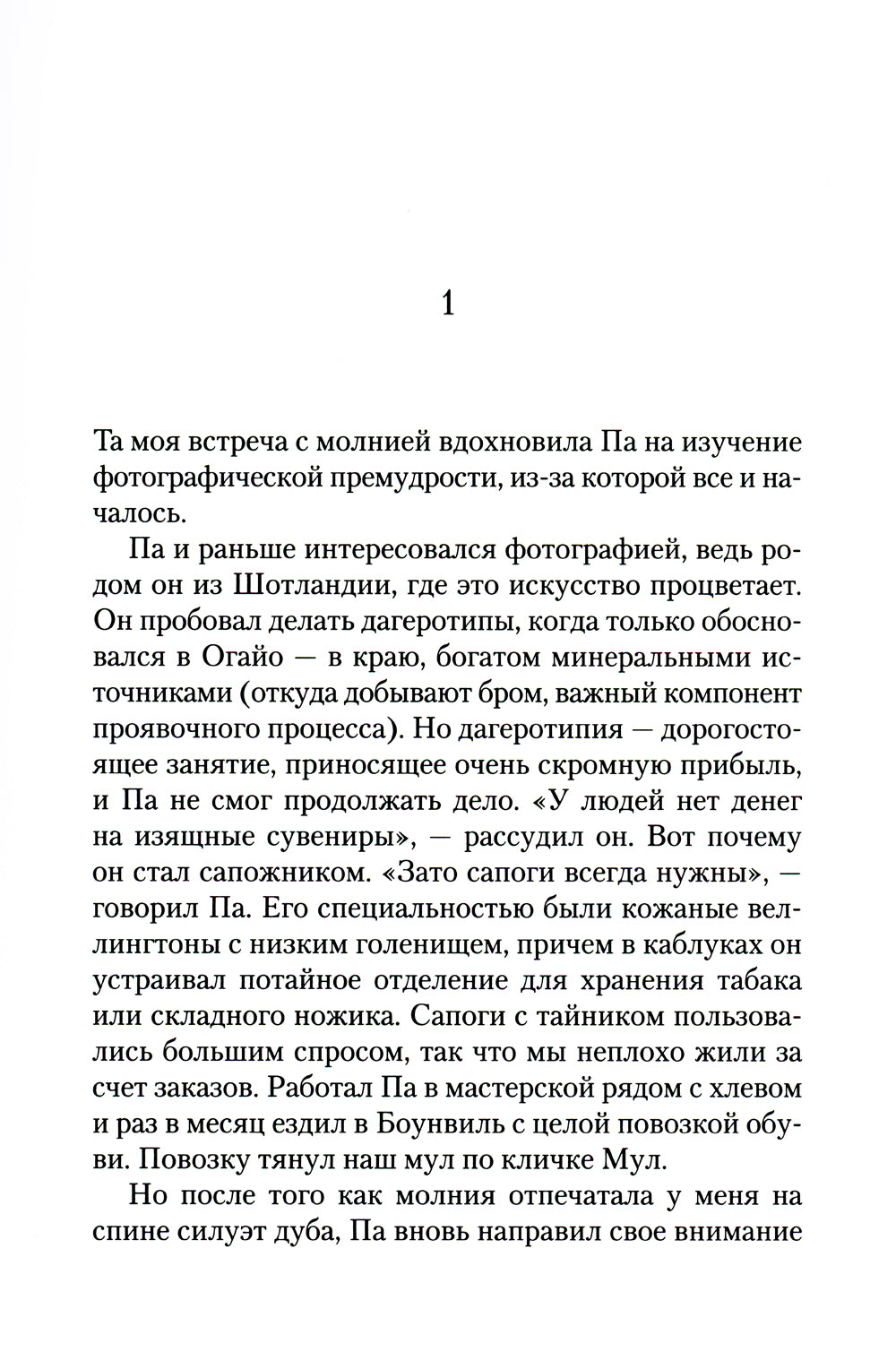 Пони: роман