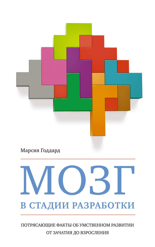 Nombre de joueurs dans les stades : Faits intéressants sur les raisons de la mise en place du système