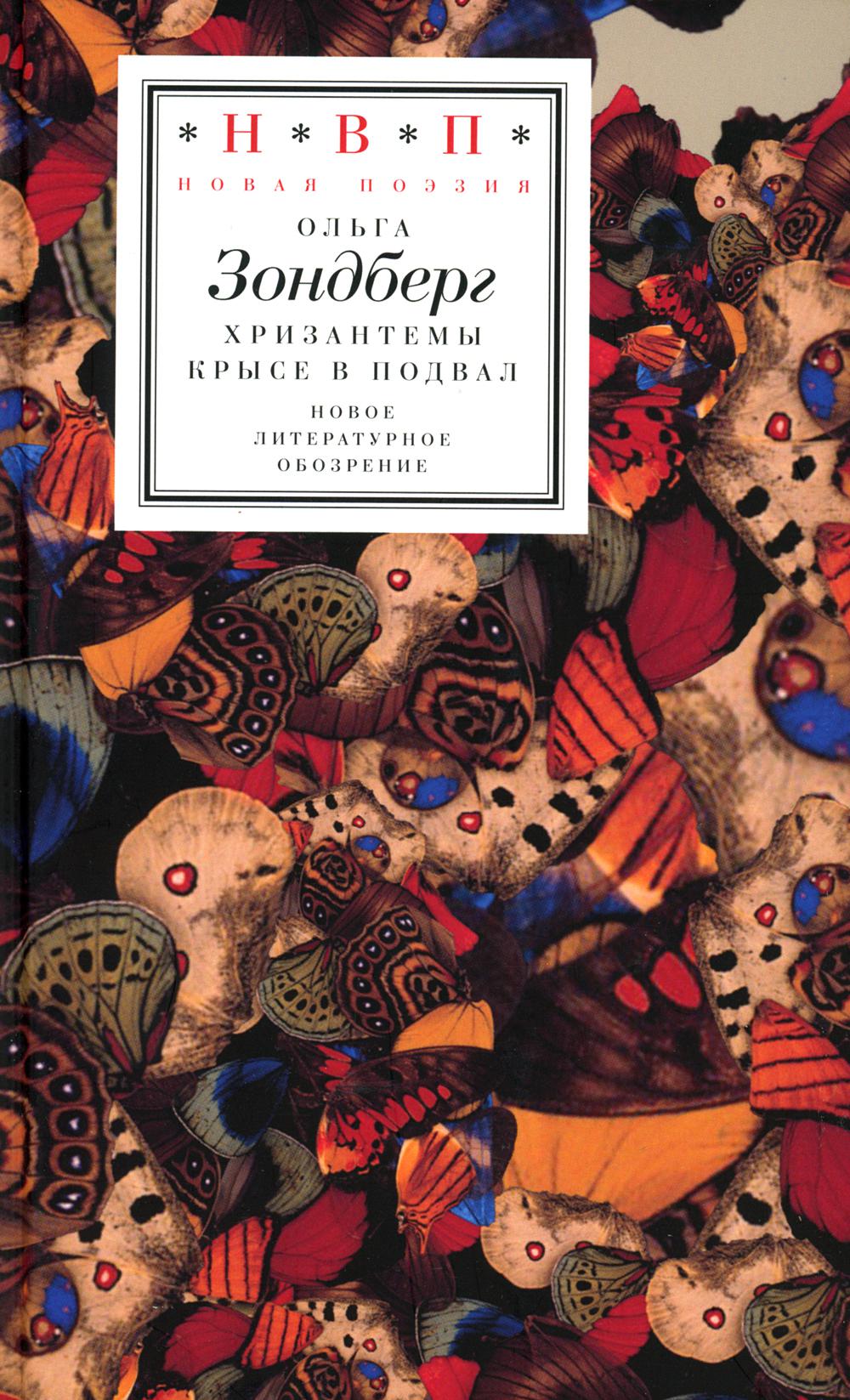 Хризантемы крысе в подвал