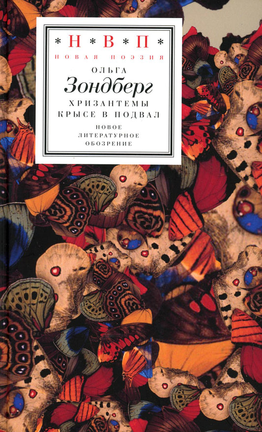 Хризантемы крысе в подвал