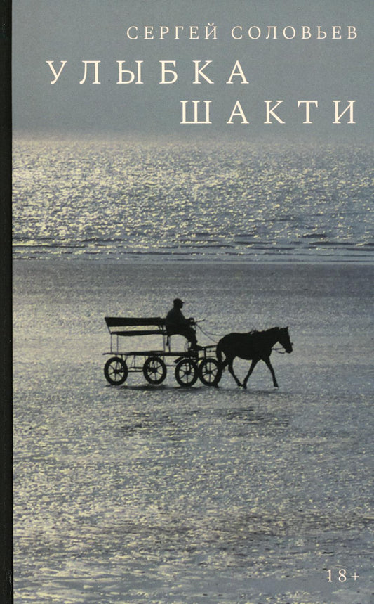 Улыбка Шакти: роман