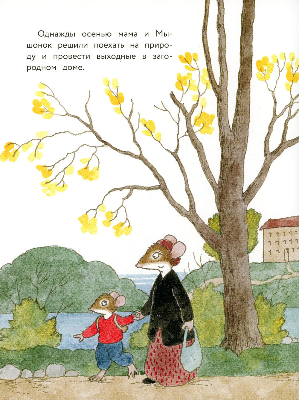 Истории про маленького Мышонка. Ура! Мы едем в лес!: сказка