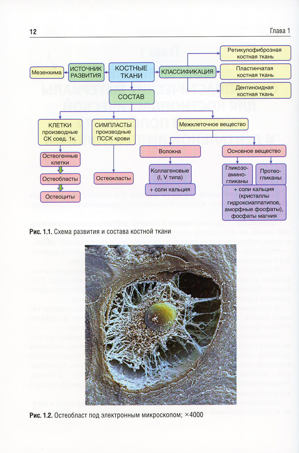 Применение остеопластических материалов в хирургии полости рта: Учебное пособие.
