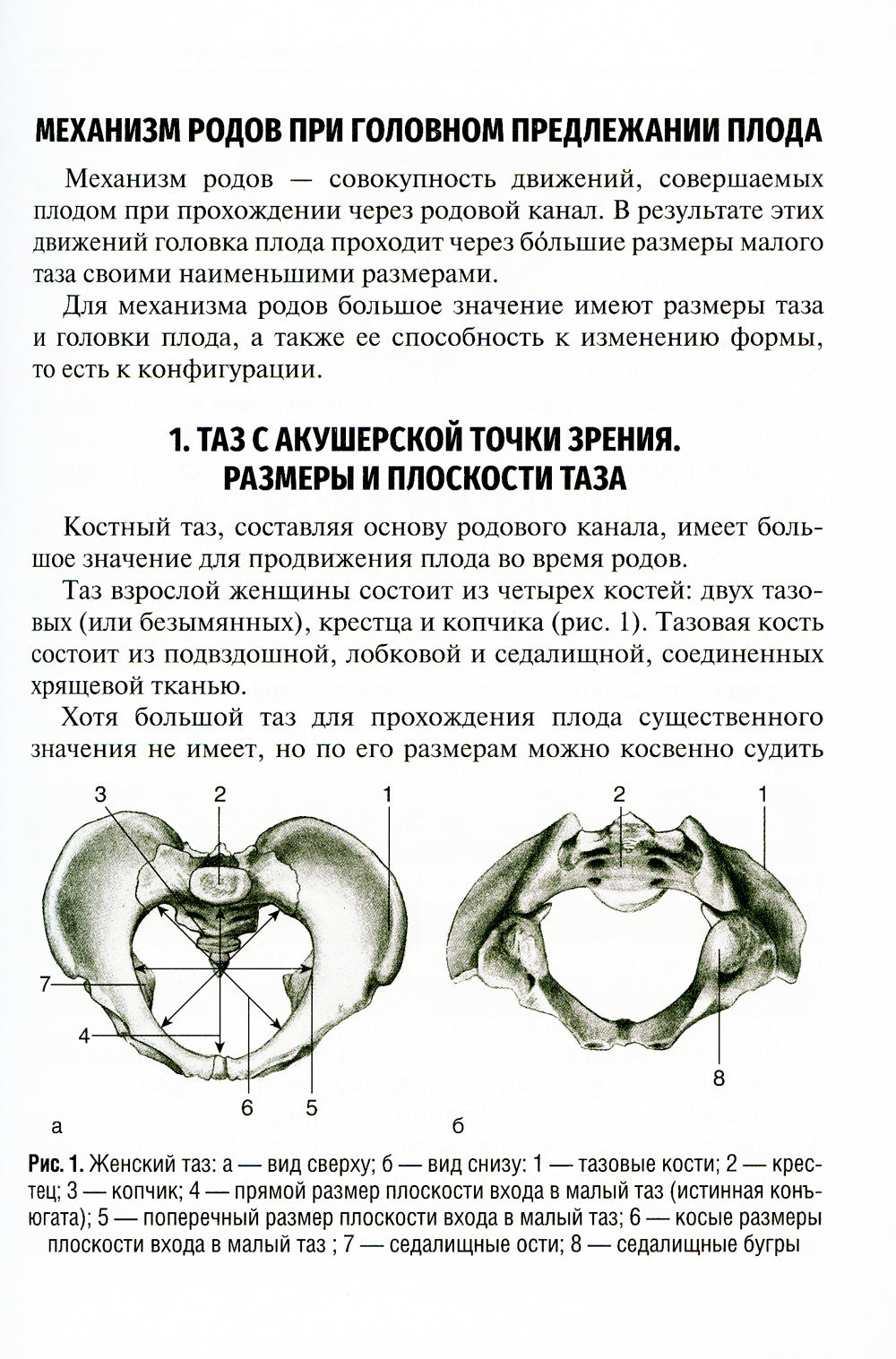 Механизм родов при головном предлежании плода: Учебное пособие