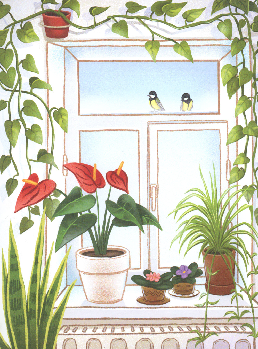 Одуванечка, или Чудо ботаники