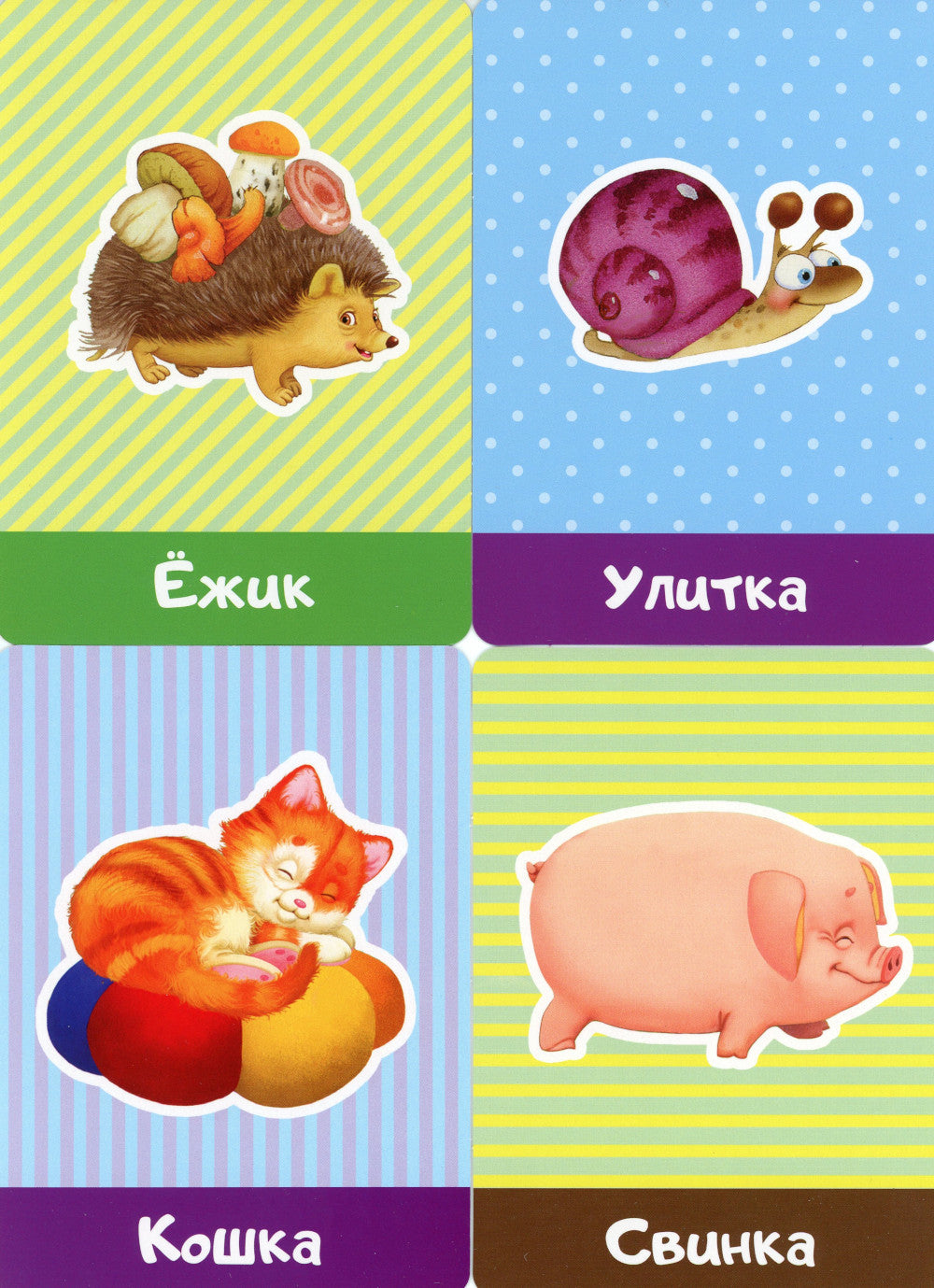 Любимые животные. Cartes pour la livraison (30 cartes)