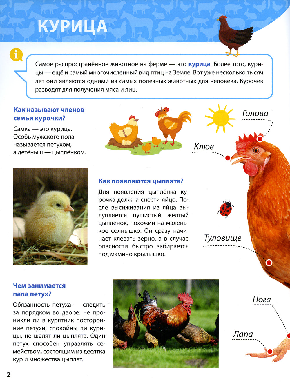 C'est une petite ferme. Первая детская энциклопедия