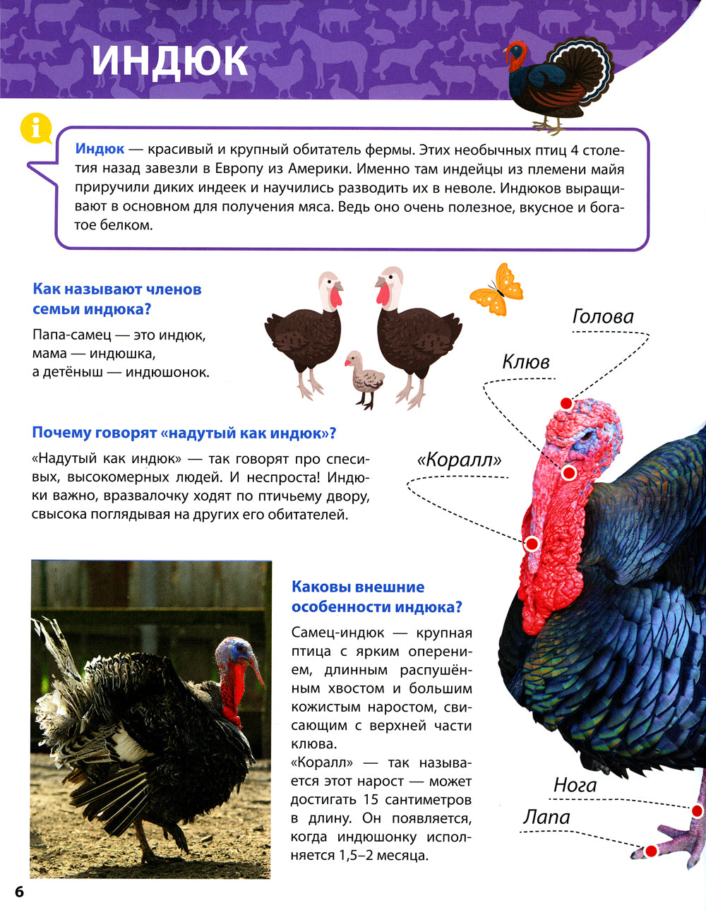 C'est une petite ferme. Первая детская энциклопедия