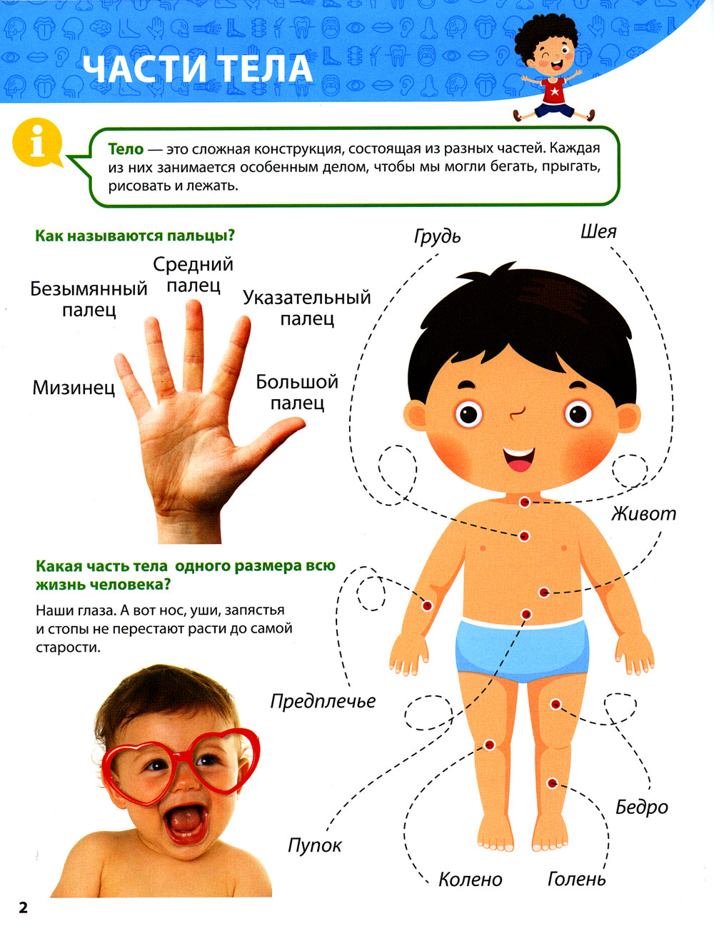 Все о теле человека малышам. Первая детская энциклопедия