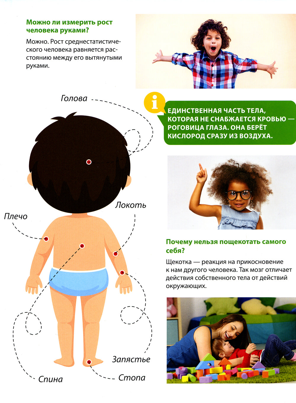 Все о теле человека малышам. Первая детская энциклопедия
