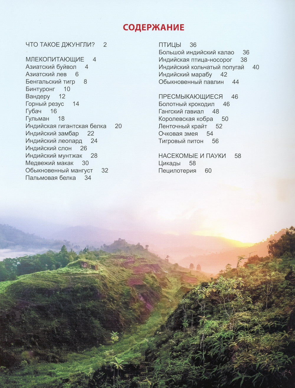 Qu'en est-il des jeunes? Encyclopédie pour bébé