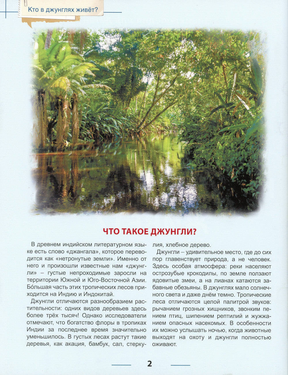 Qu'en est-il des jeunes? Encyclopédie pour bébé