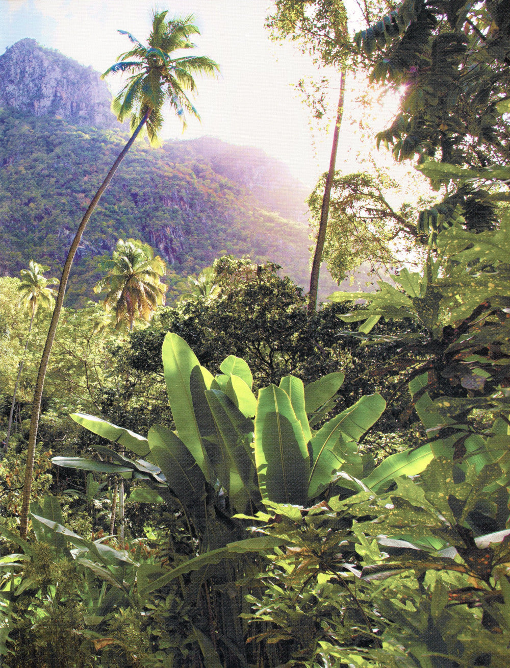 Qu'en est-il des jeunes? Encyclopédie pour bébé